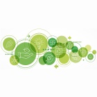 Logo audit green IT